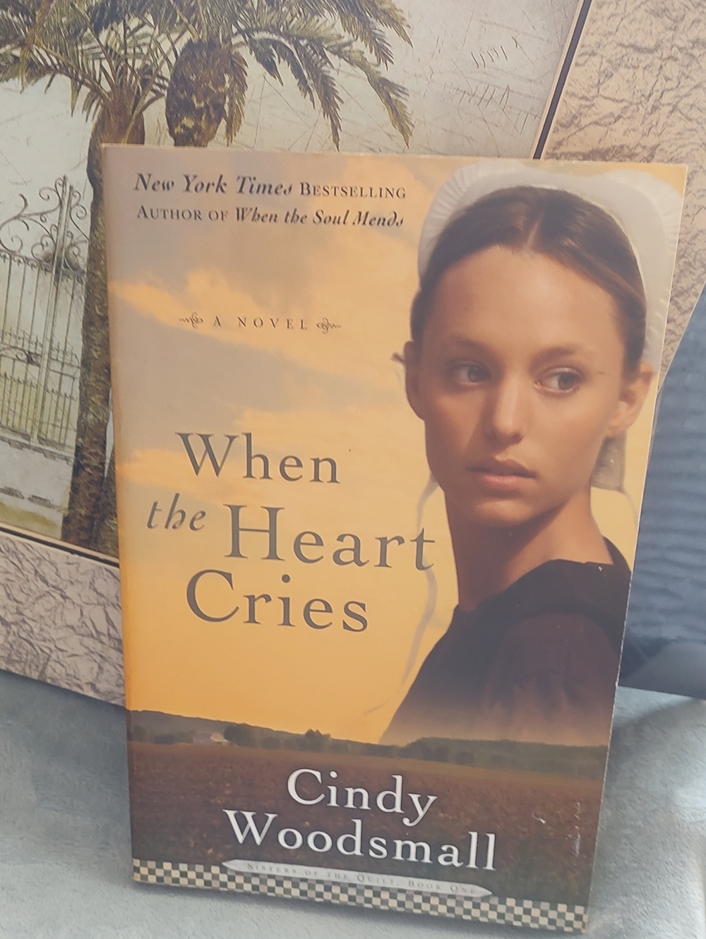 When the Heart Cries by Cindy Woodsmall - 📚2006
